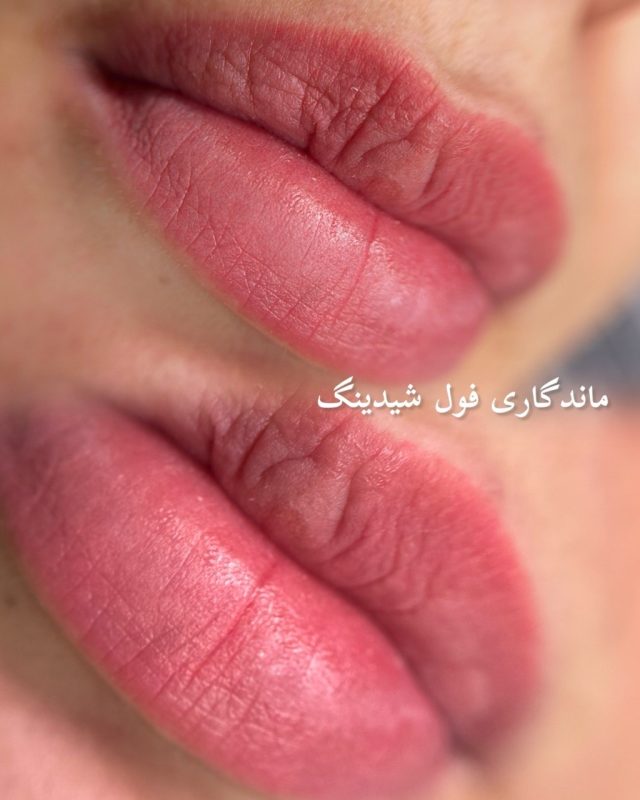 ماندگاری فول شیدینگ